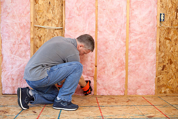 Best Insulation for Specific Applications in Carnot Moon, PA